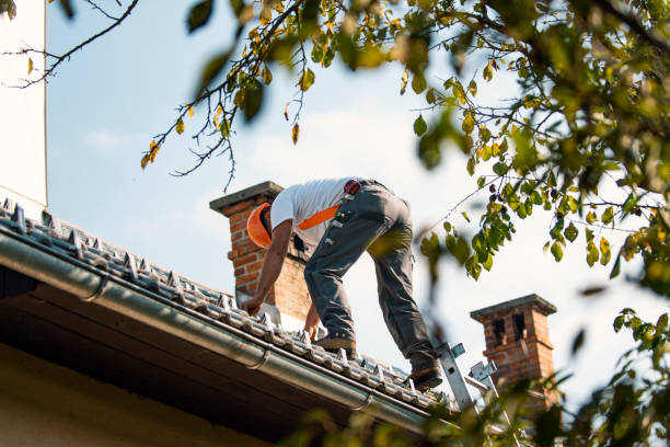 Steel Roofing in Sulphur, LA